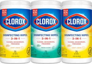 Clorox Disinfecting Cleaning Wipes ...